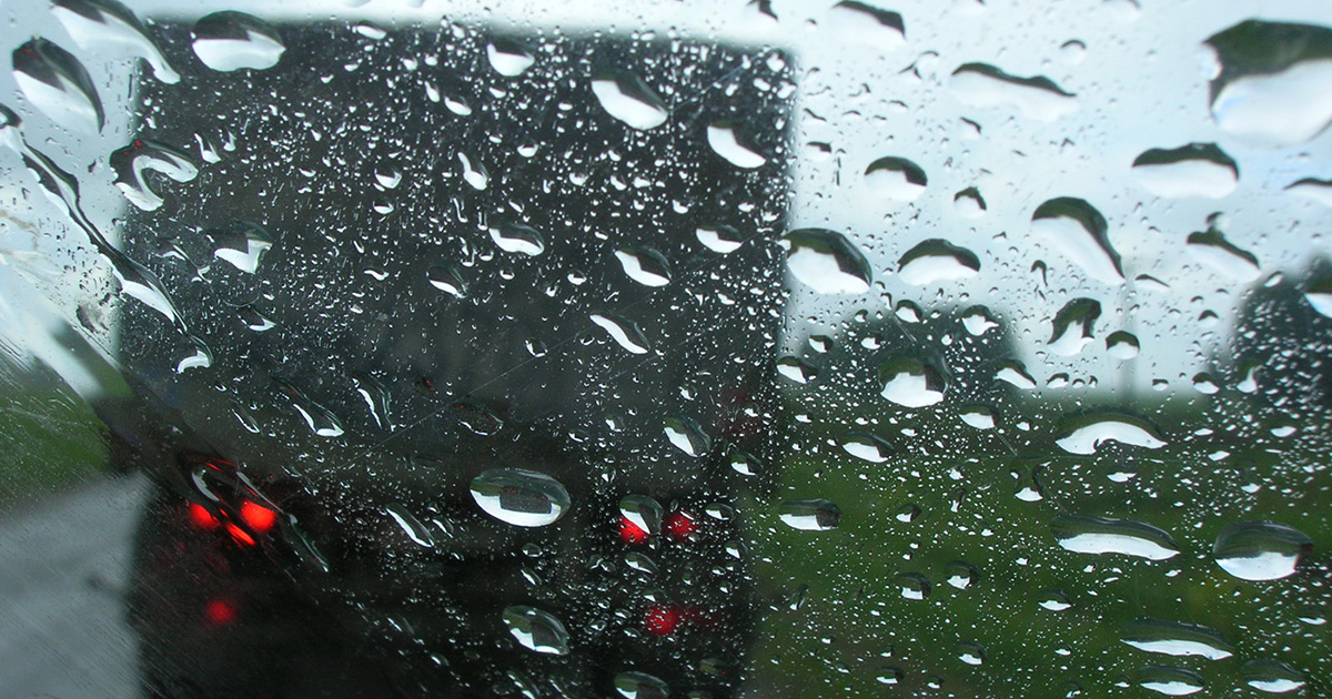 Близость к государственным границам позволила расправить крылья 1 2